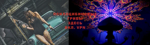 метамфетамин Богданович